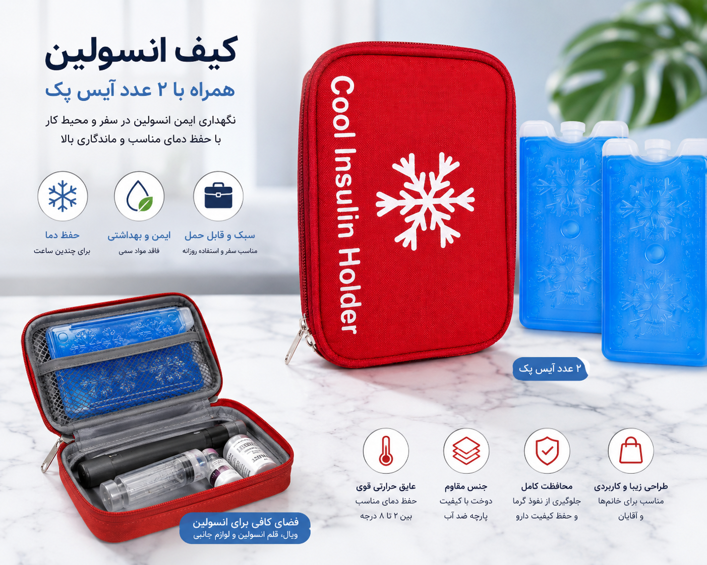 کیف انسولین همراه با دوتا آیس پک